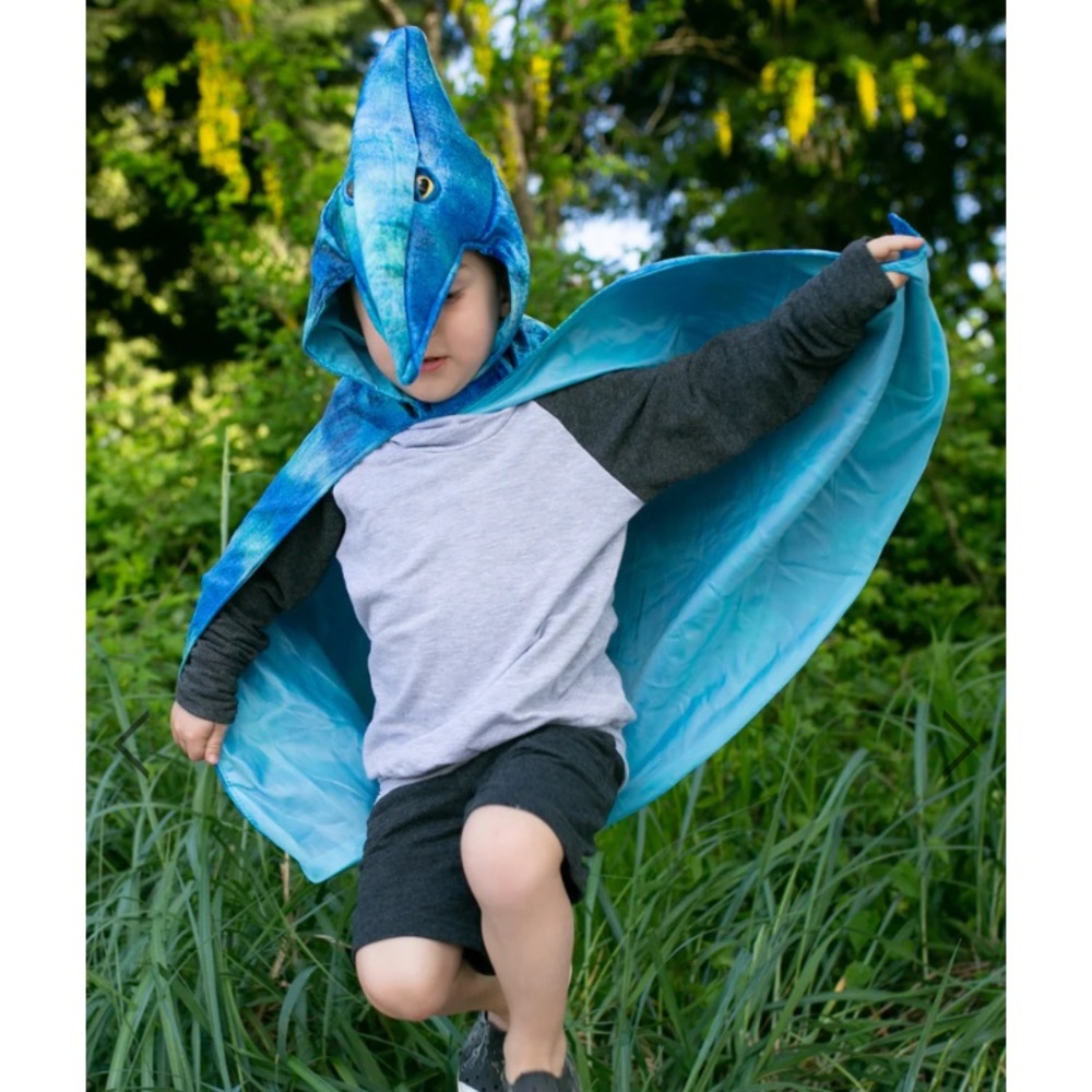 Great Pretenders Pterodactyl Costume Cape Size 4/5